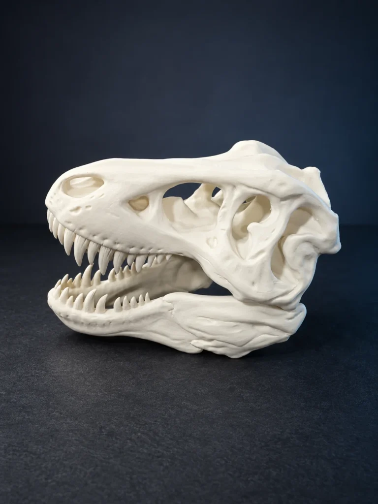 Cream-white 3D-printed T-Rex skull with an open jaw, produced by SHARK.